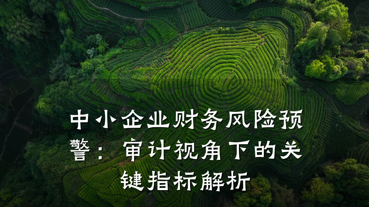 中小企业财务风险预警:审计视角下的关键指标解析