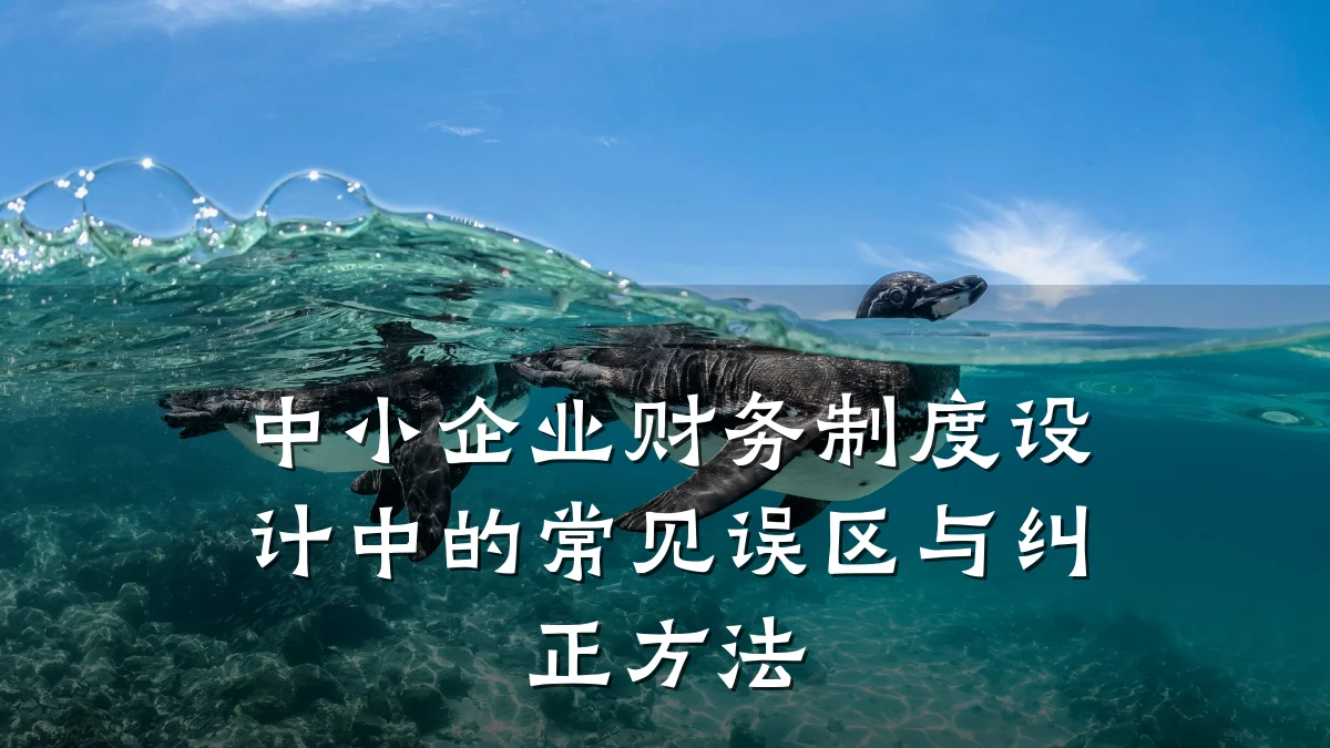 中小企业财务制度设计中的常见误区与纠正方法