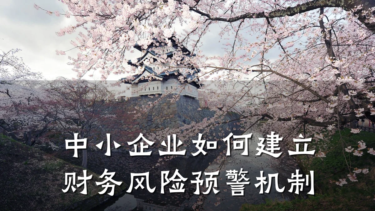 中小企业如何建立财务风险预警机制