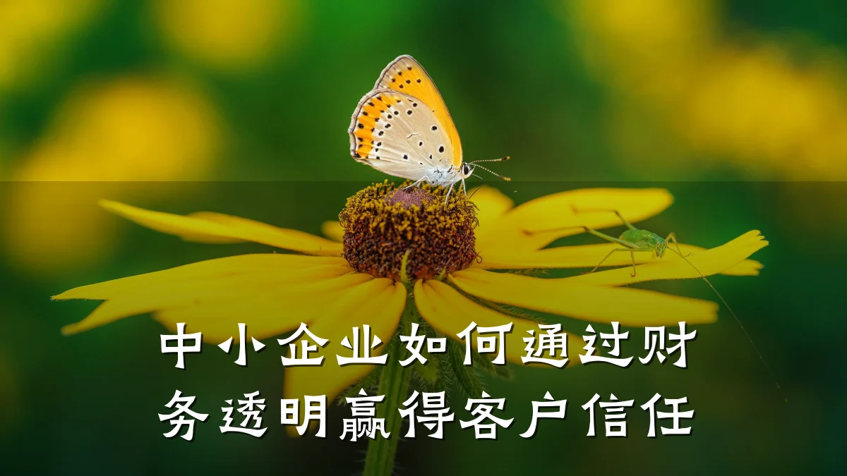中小企业如何通过财务透明赢得客户信任