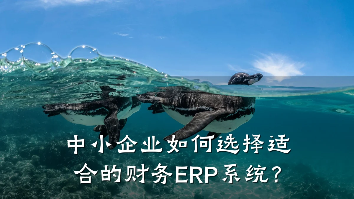 中小企业如何选择适合的财务ERP系统?