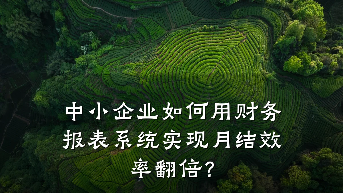 中小企业如何用财务报表系统实现月结效率翻倍?