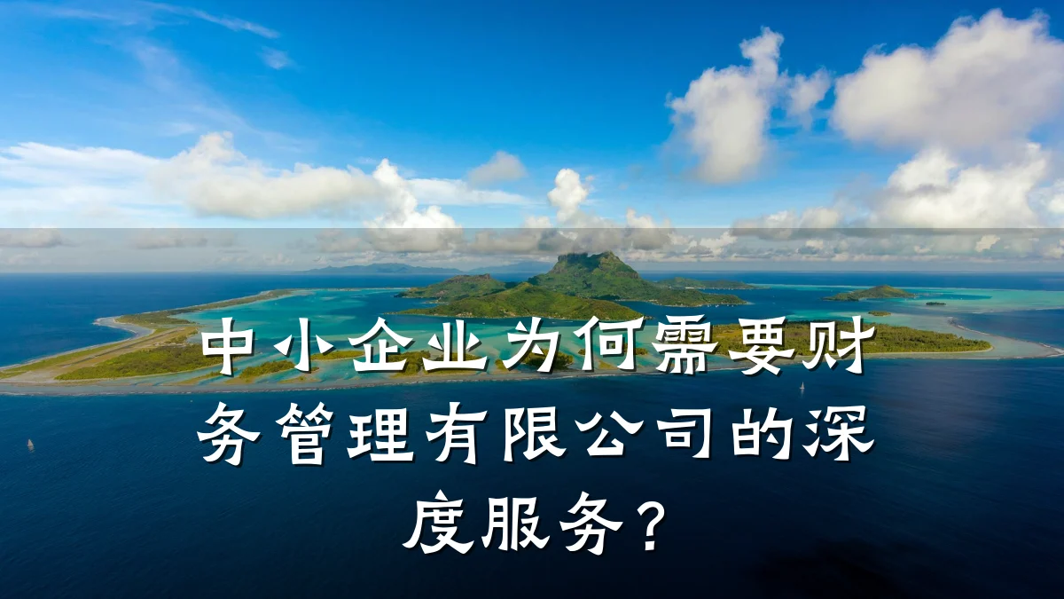 中小企业为何需要财务管理有限公司的深度服务?