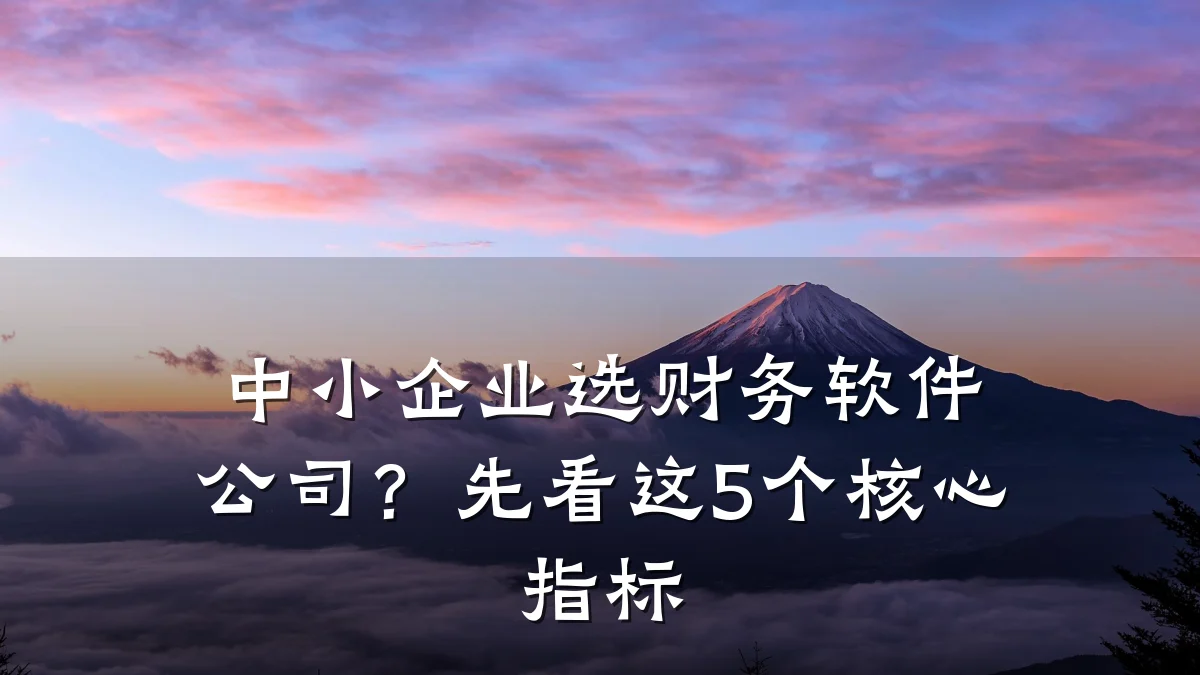 中小企业选财务软件公司?先看这5个核心指标