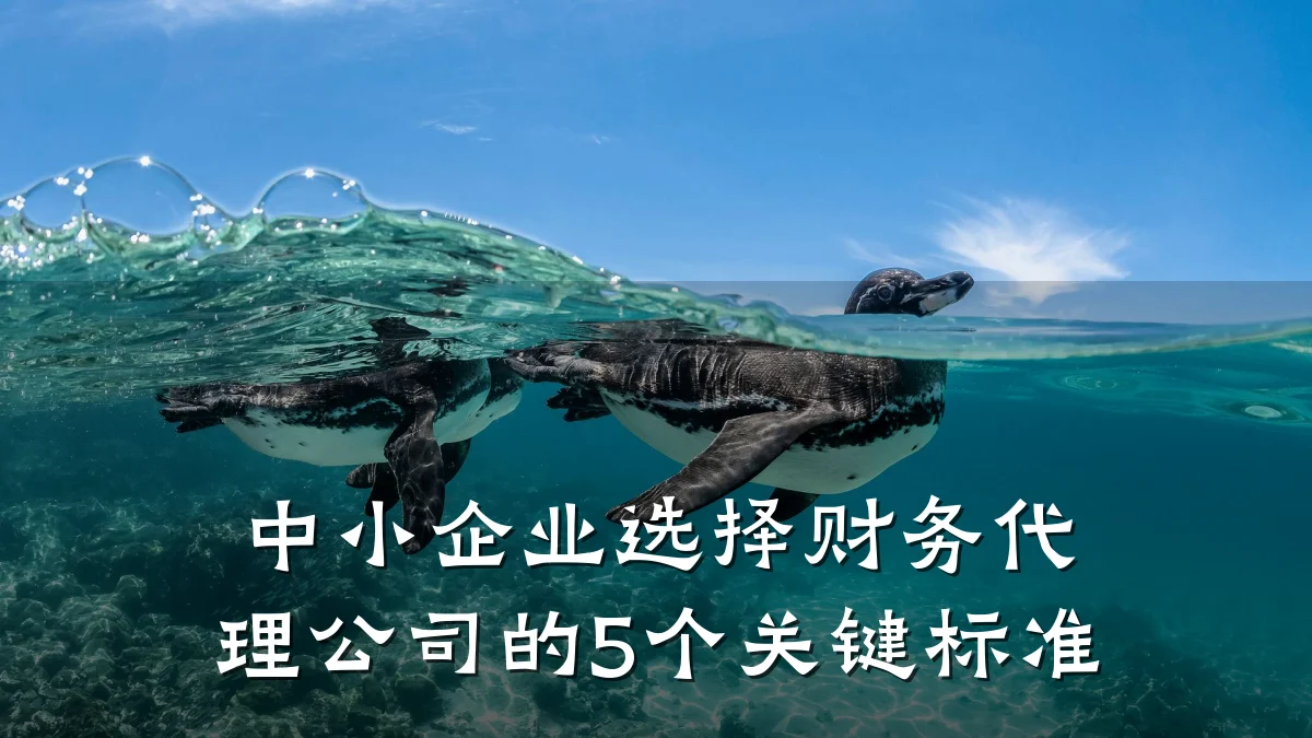 中小企业选择财务代理公司的5个关键标准
