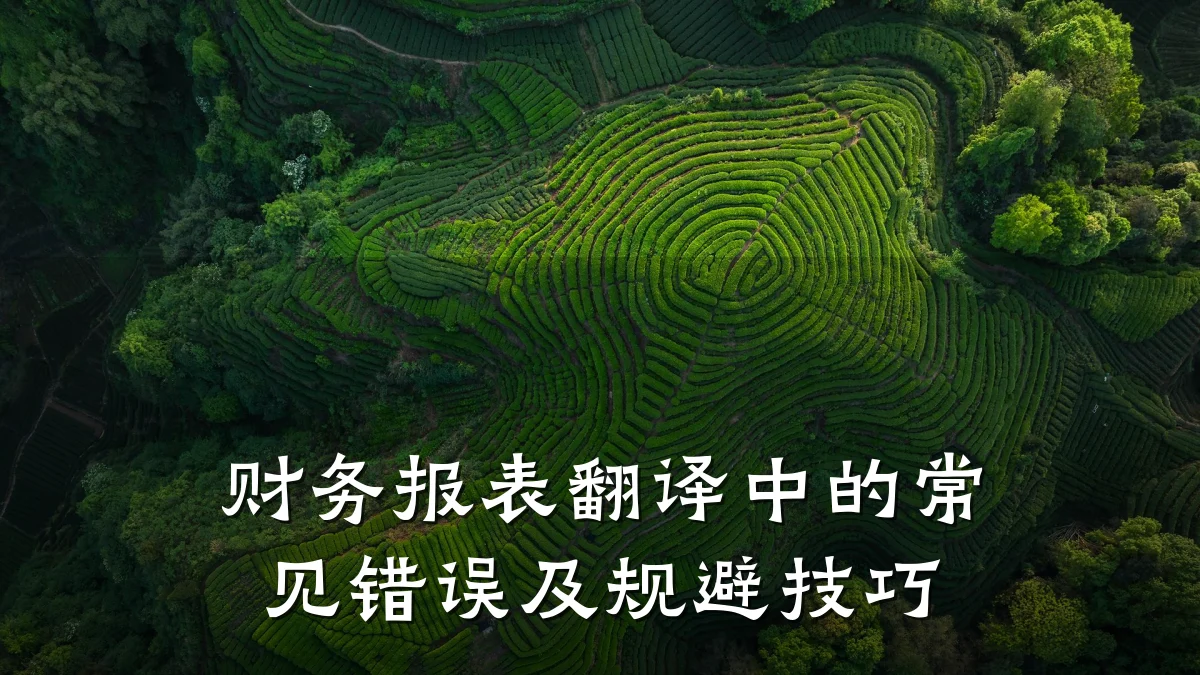 财务报表翻译中的常见错误及规避技巧