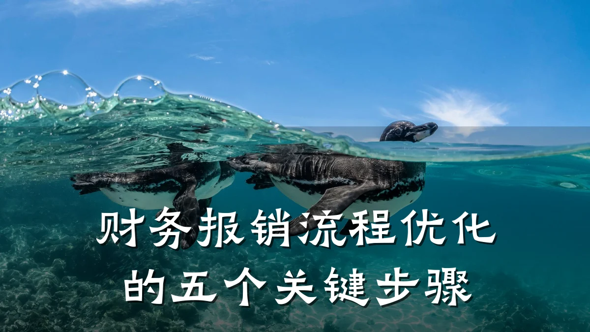 财务报销流程优化的五个关键步骤