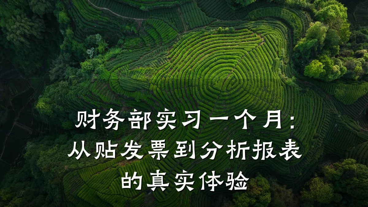 财务部实习一个月：从贴发票到分析报表的真实体验