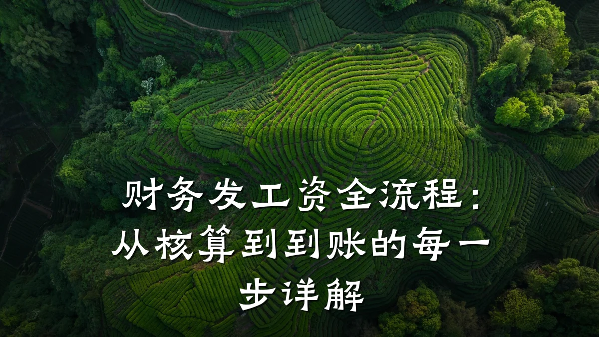 财务发工资全流程:从核算到到账的每一步详解