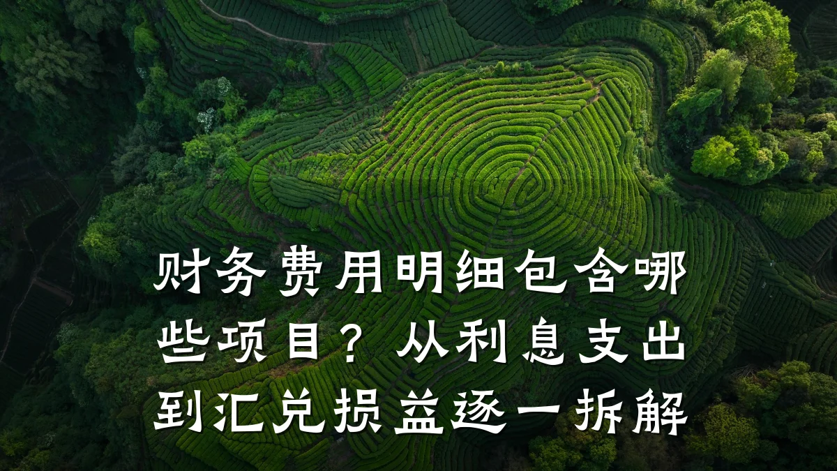 财务费用明细包含哪些项目?从利息支出到汇兑损益逐一拆解