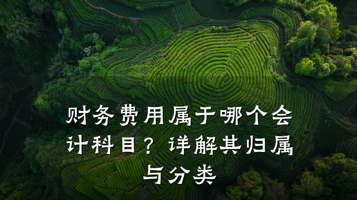 财务费用属于哪个会计科目?详解其归属与分类