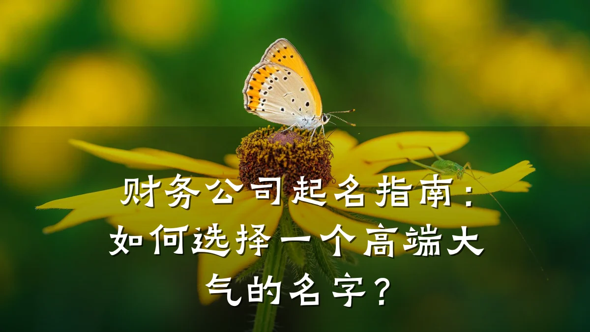 财务公司起名指南:如何选择一个高端大气的名字?