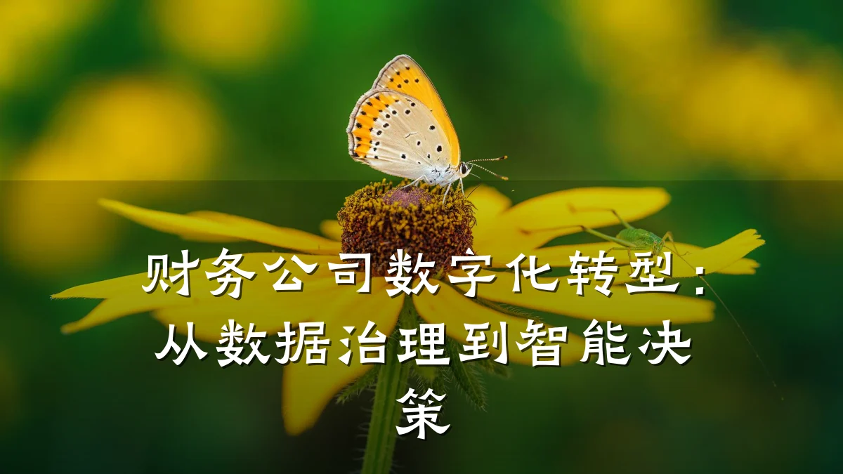 财务公司数字化转型：从数据治理到智能决策