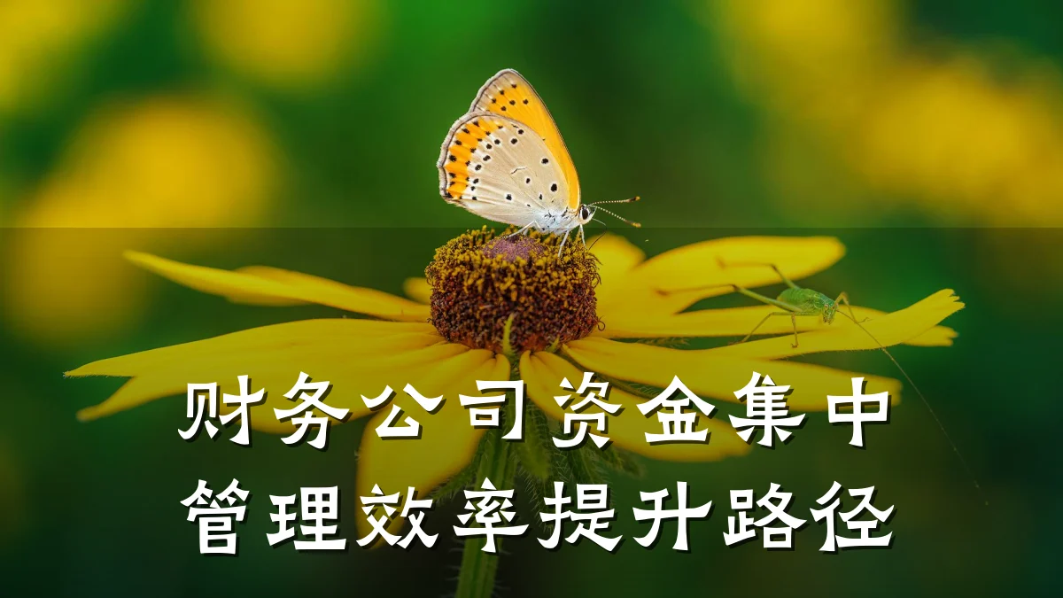 财务公司资金集中管理效率提升路径