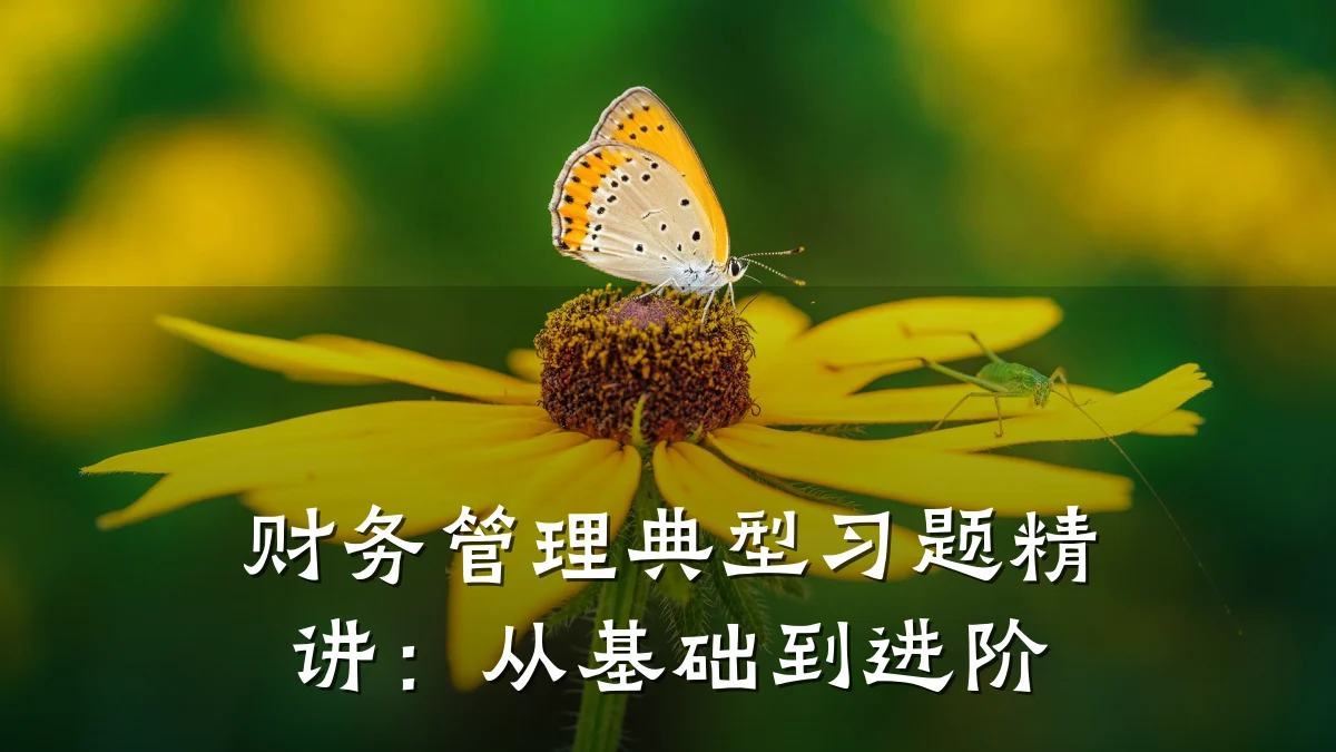 财务管理典型习题精讲：从基础到进阶