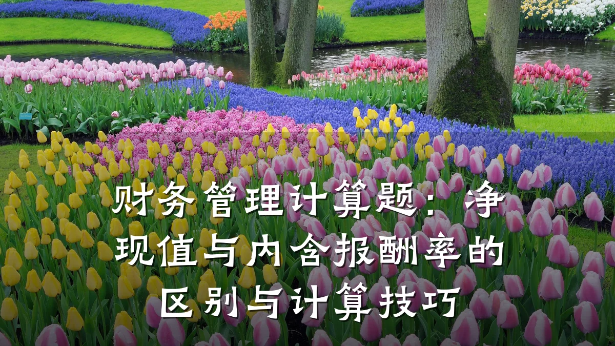 财务管理计算题:净现值与内含报酬率的区别与计算技巧