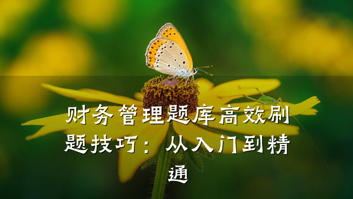 财务管理题库高效刷题技巧:从入门到精通