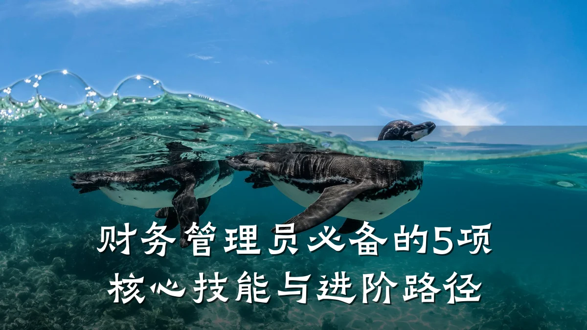 财务管理员必备的5项核心技能与进阶路径