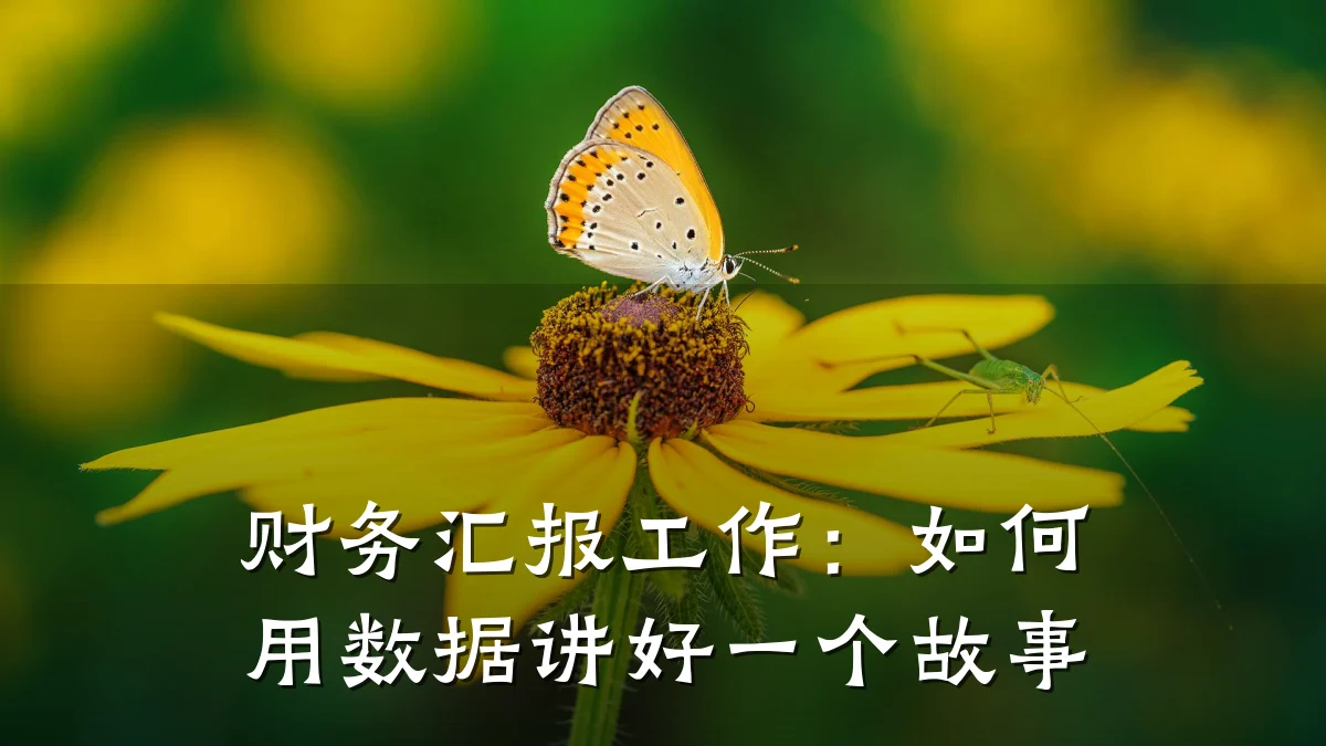 财务汇报工作:如何用数据讲好一个故事