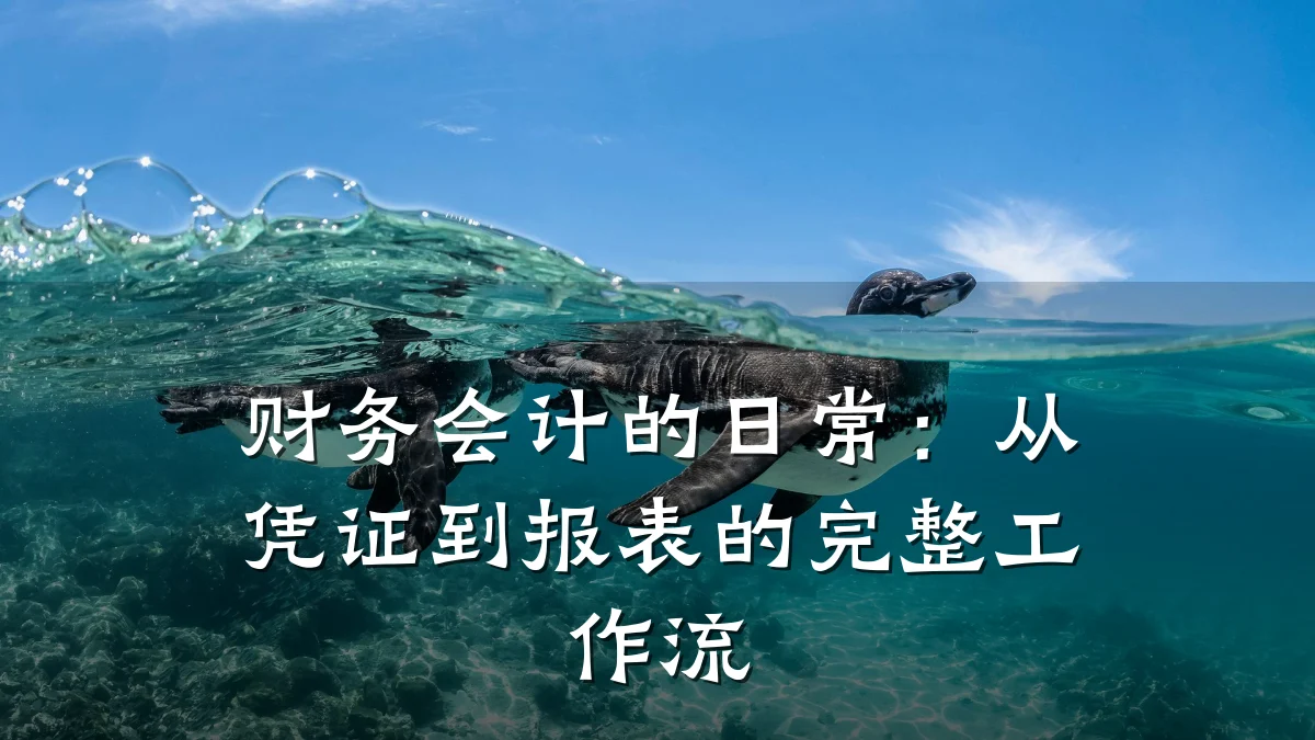 财务会计的日常：从凭证到报表的完整工作流