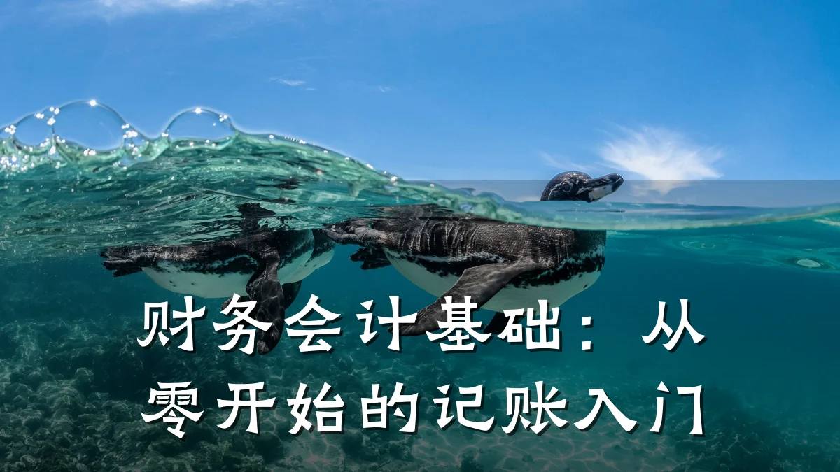 财务会计基础:从零开始的记账入门