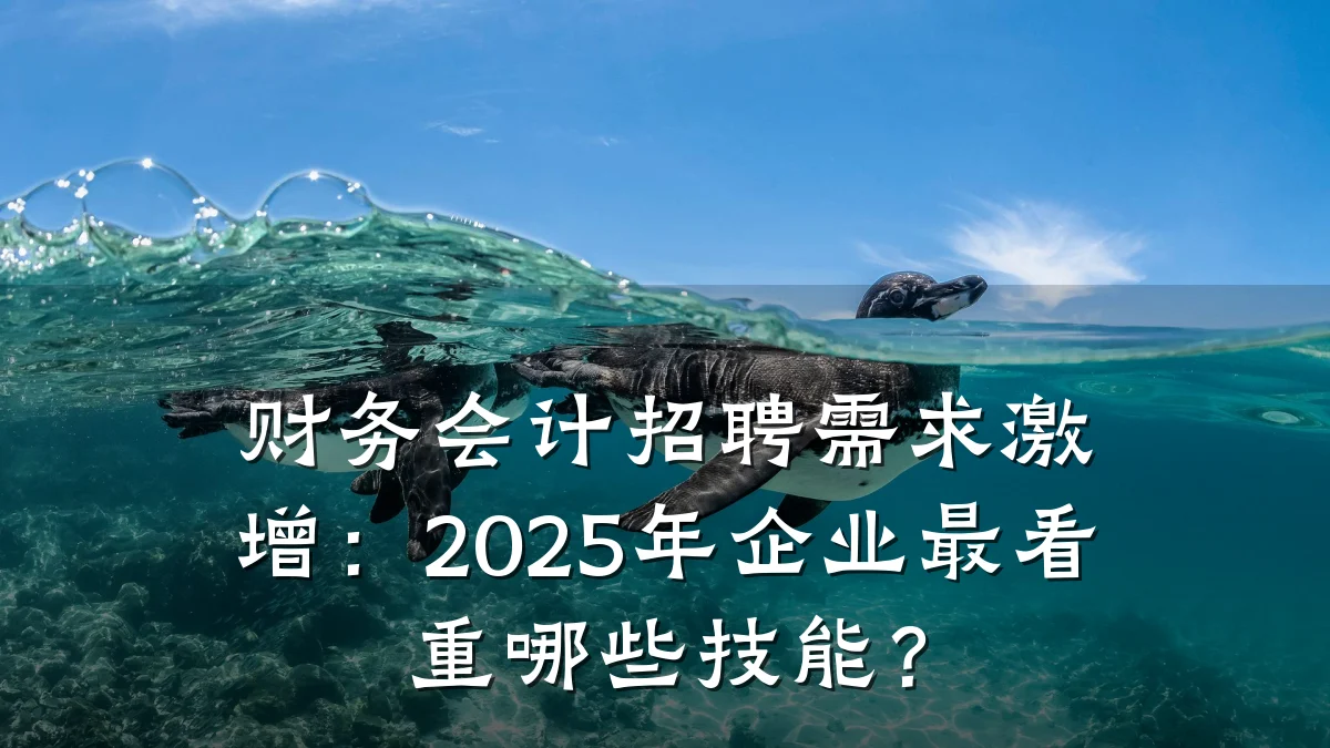 财务会计招聘需求激增：2025年企业最看重哪些技能？