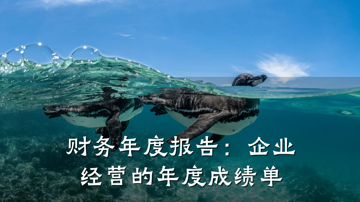 财务年度报告：企业经营的年度成绩单