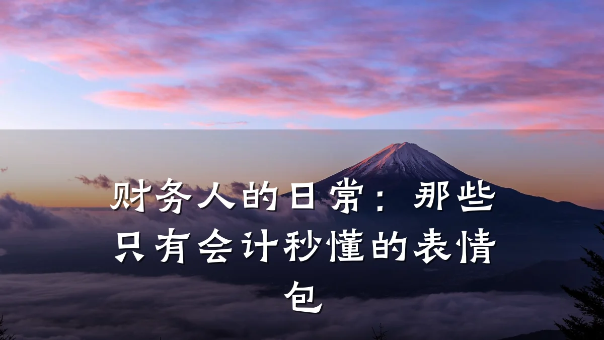 财务人的日常:那些只有会计秒懂的表情包