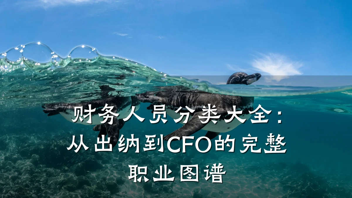 财务人员分类大全：从出纳到CFO的完整职业图谱