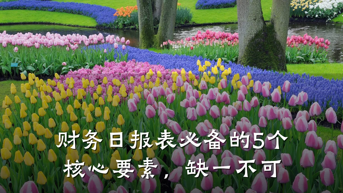 财务日报表必备的5个核心要素,缺一不可