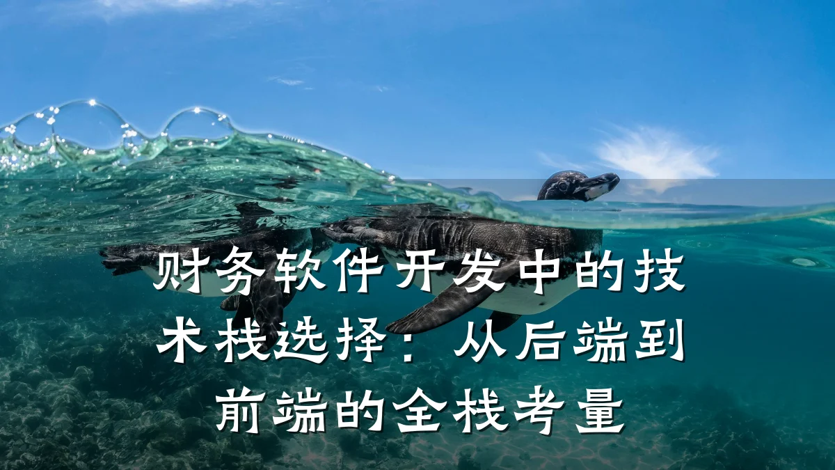 财务软件开发中的技术栈选择：从后端到前端的全栈考量