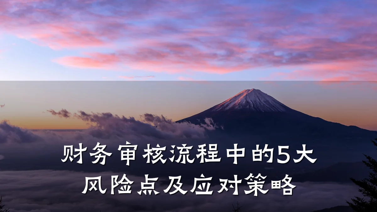 财务审核流程中的5大风险点及应对策略