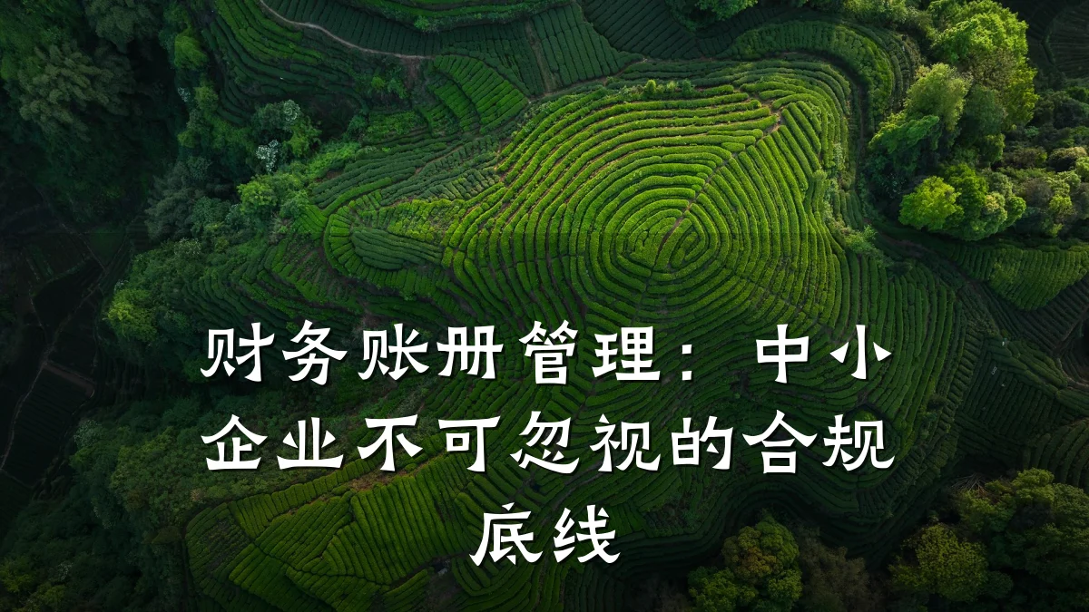 财务账册管理:中小企业不可忽视的合规底线