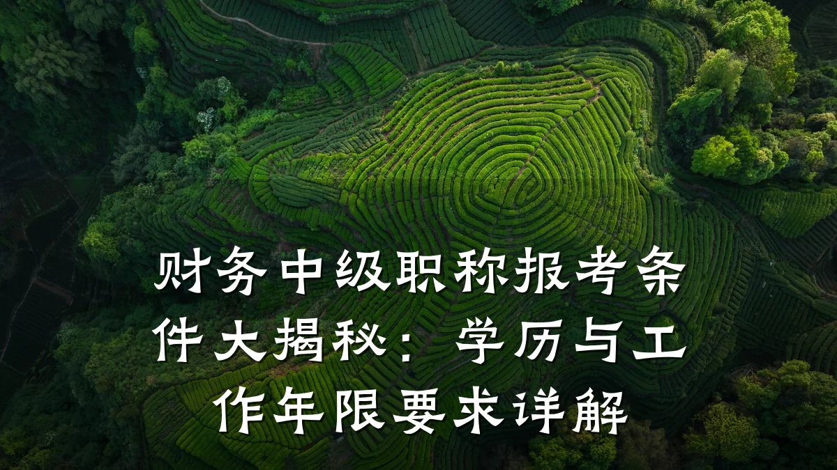 财务中级职称报考条件大揭秘:学历与工作年限要求详解