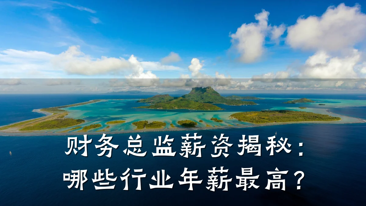 财务总监薪资揭秘：哪些行业年薪最高？