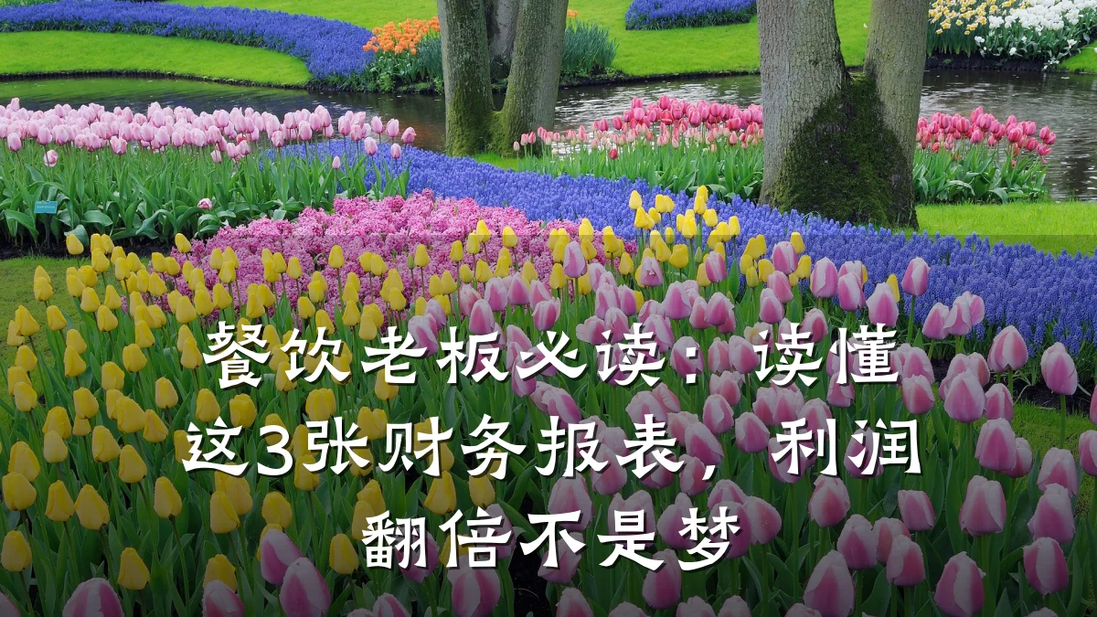 餐饮老板必读:读懂这3张财务报表,利润翻倍不是梦