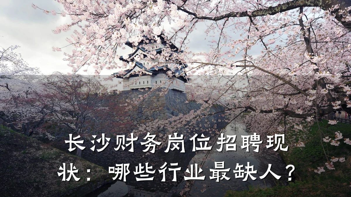 长沙财务岗位招聘现状:哪些行业最缺人?