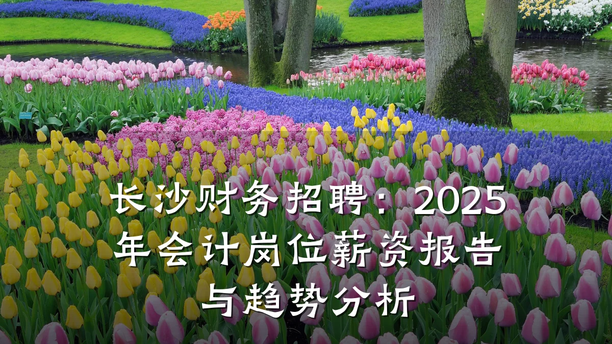 长沙财务招聘:2025年会计岗位薪资报告与趋势分析