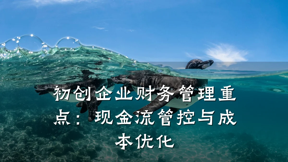 初创企业财务管理重点：现金流管控与成本优化