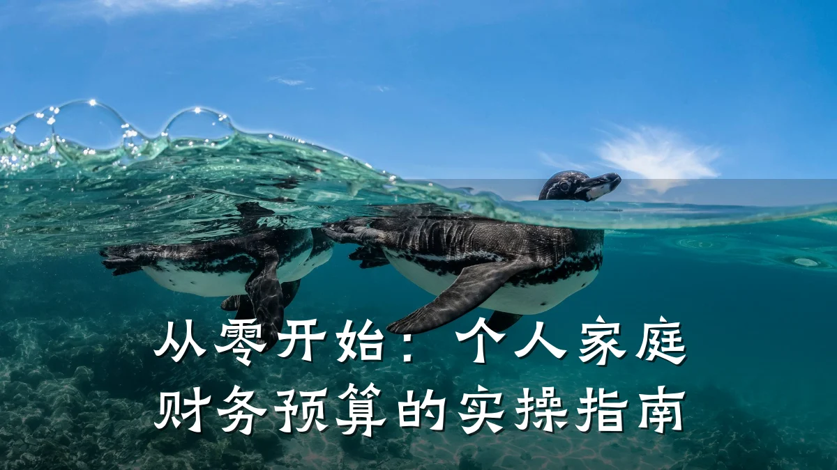从零开始:个人家庭财务预算的实操指南