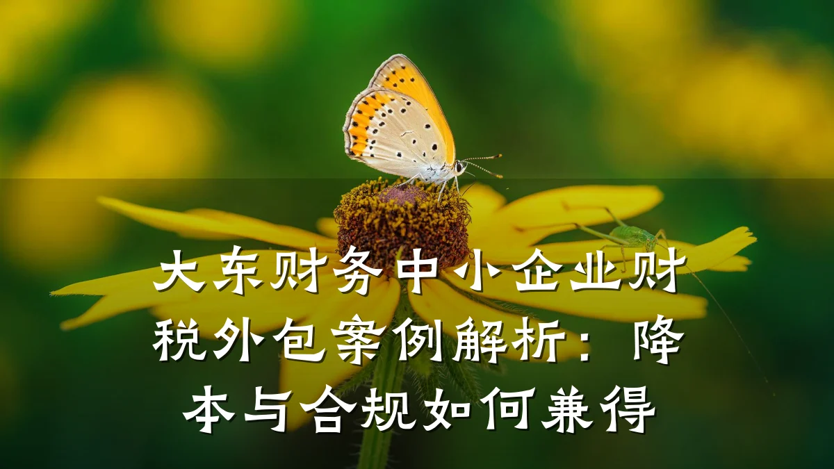 大东财务中小企业财税外包案例解析:降本与合规如何兼得