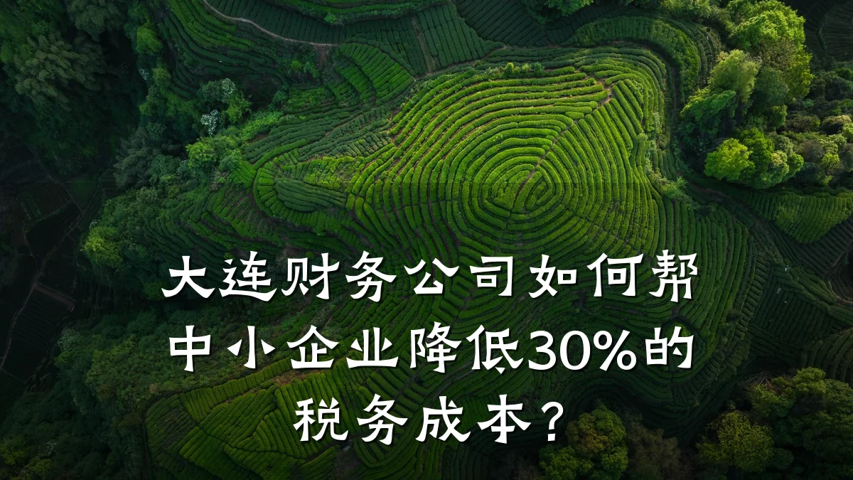 大连财务公司如何帮中小企业降低30%的税务成本?