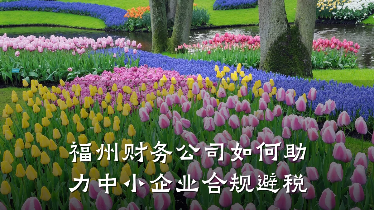 福州财务公司如何助力中小企业合规避税