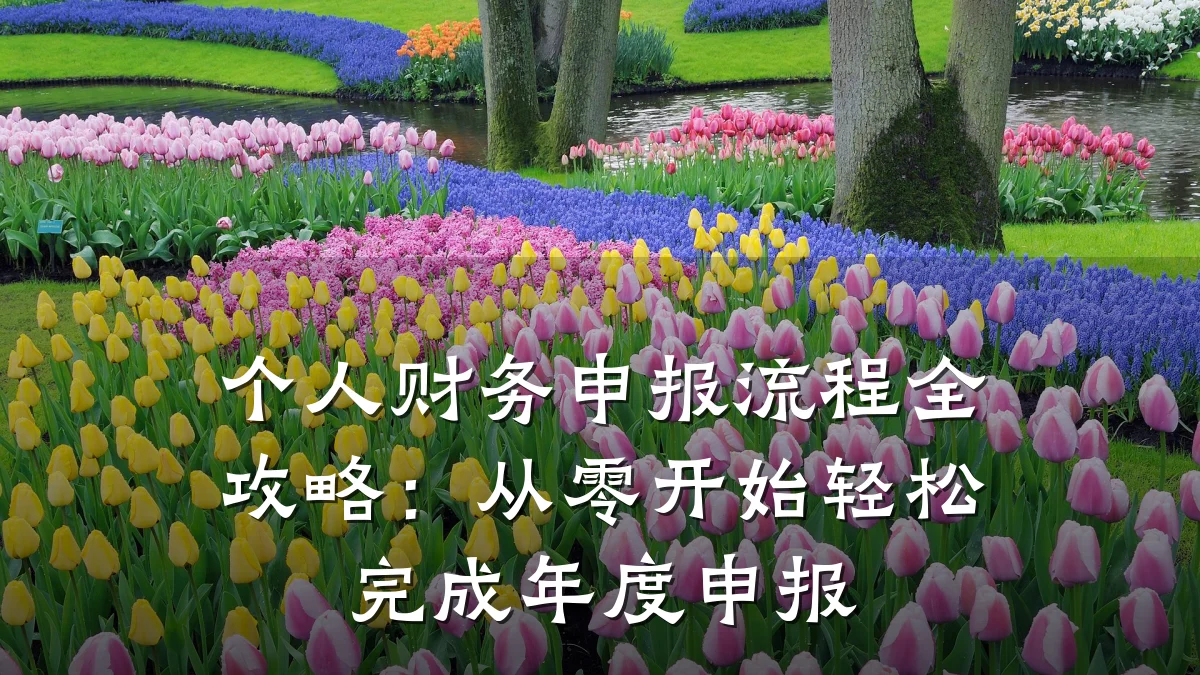 个人财务申报流程全攻略:从零开始轻松完成年度申报