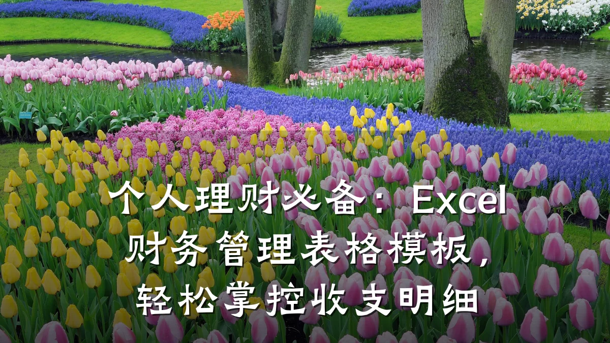 个人理财必备:Excel财务管理表格模板,轻松掌控收支明细