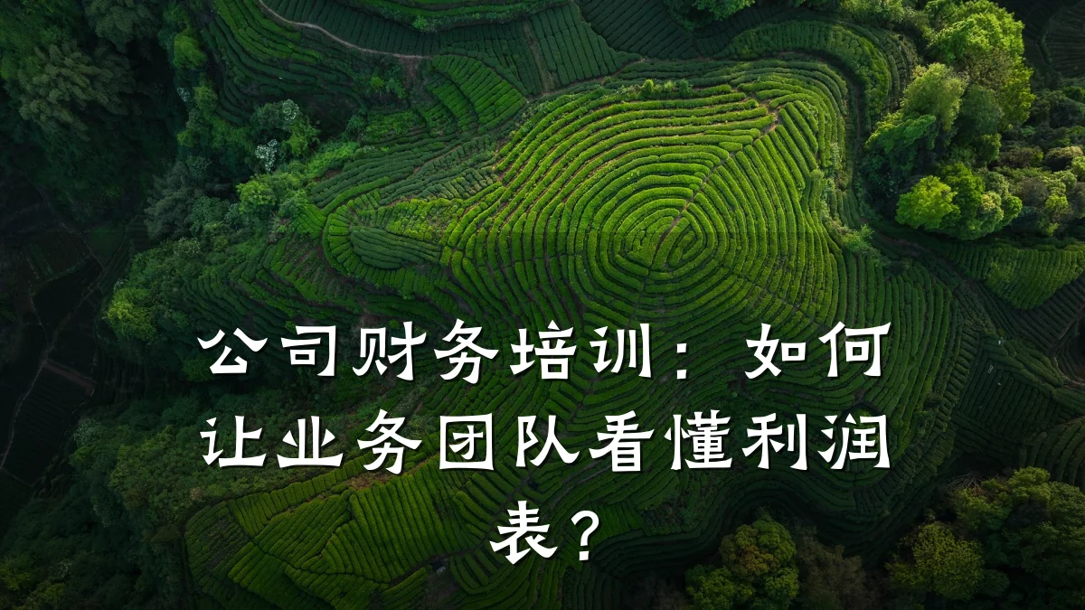 公司财务培训:如何让业务团队看懂利润表?