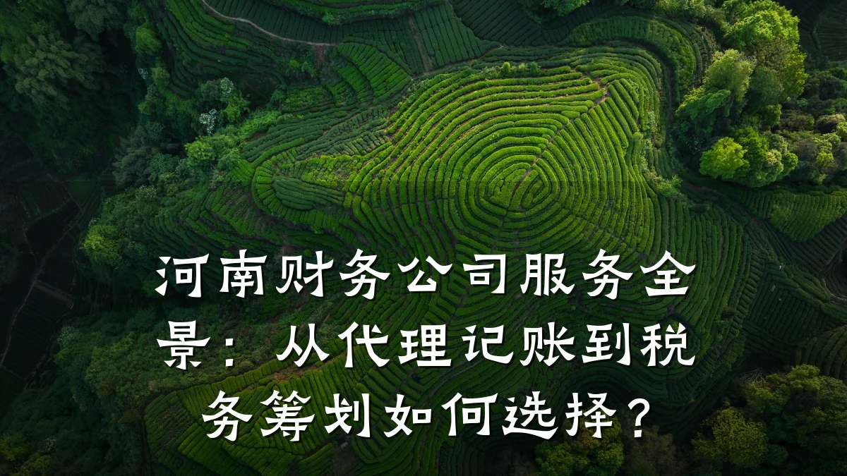 河南财务公司服务全景:从代理记账到税务筹划如何选择?