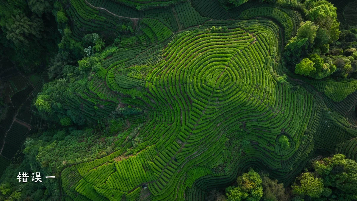错误一