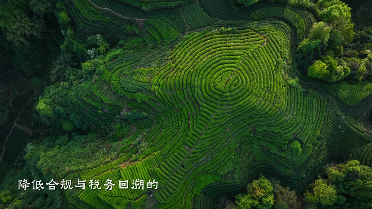 降低合规与税务回溯的