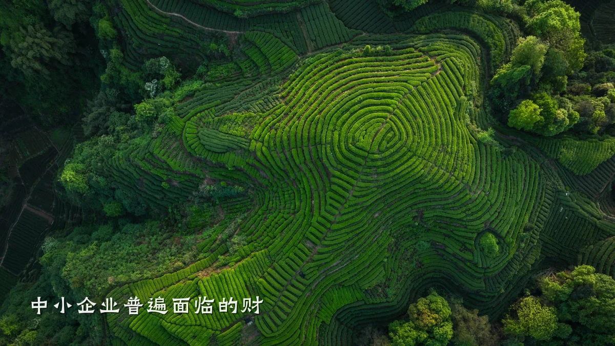 中小企业普遍面临的财
